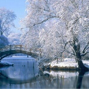 Winter Designer Bag Show